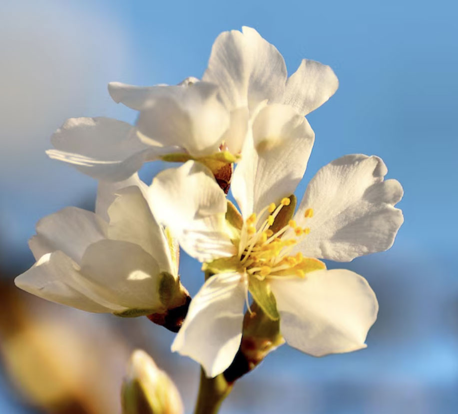 Giờ sinh Âm lịch của người dễ làm nên chuyện lớn khiến gia tộc nở mày nở mặt - Ảnh 1.