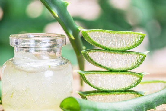 Giải mã lý do nha đam được tôn vinh là 'vàng lỏng' của phái đẹp