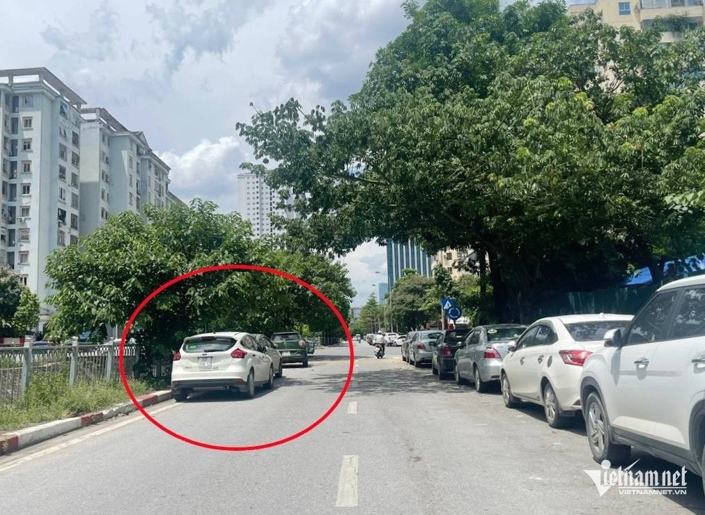 do xe ben trai duong mot chieu.jpeg