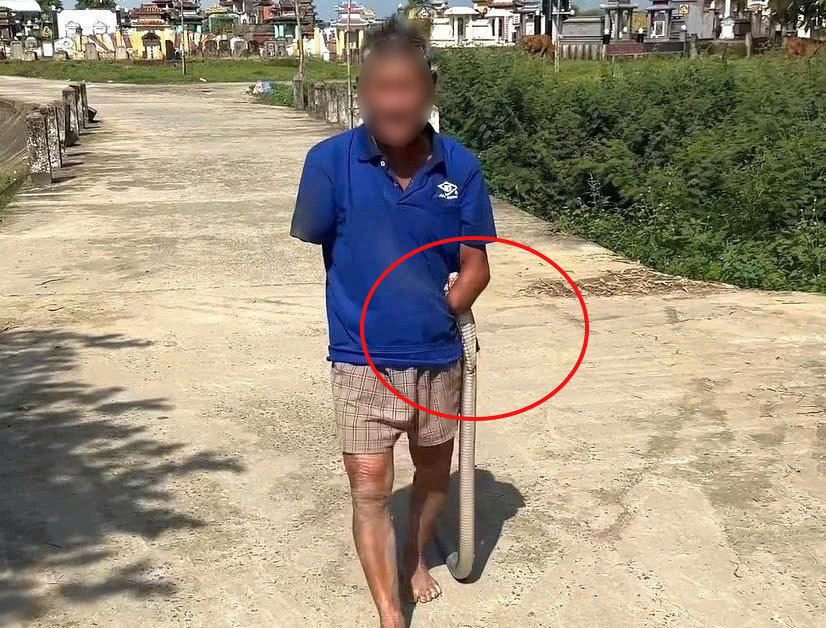 Vụ cụ ông cụt tay kẹp con rắn mang về nhà: Gia đình được giúp đỡ số tiền lớn - Ảnh 1.