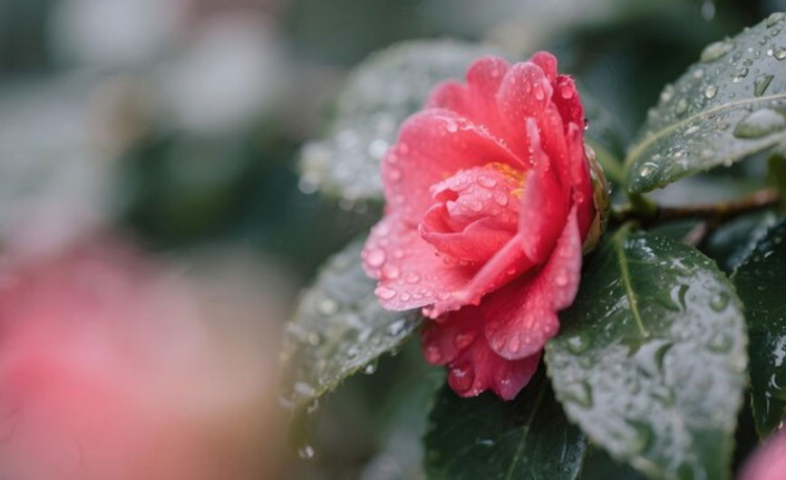 3 khung giờ sinh Âm lịch của người đi đâu cũng được lòng người - Ảnh 2.