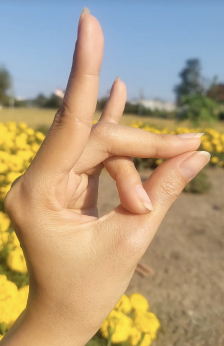 Vì sao trào lưu 'kết ấn cầu tài' gây sốt mạng đầu năm Bính Ngọ? - 2