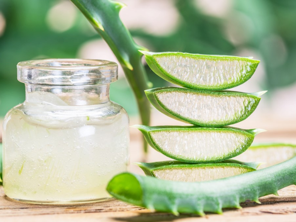 Giải mã lý do nha đam được tôn vinh là 'vàng lỏng' của phái đẹp - Ảnh 2