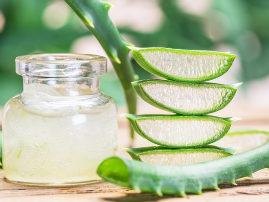 Giải mã lý do nha đam được tôn vinh là 'vàng lỏng' của phái đẹp