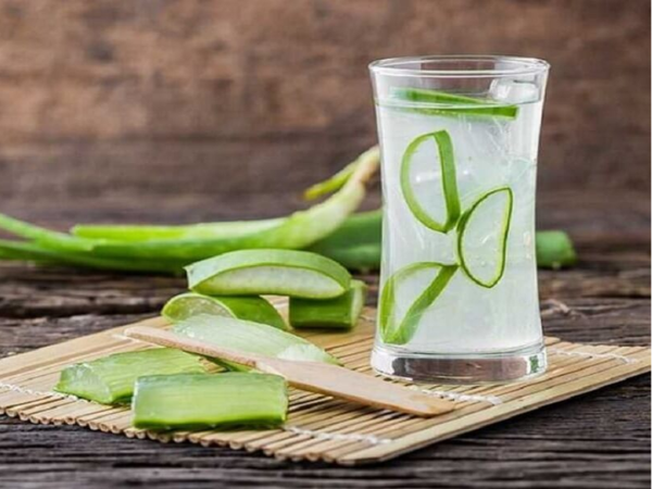 Giải mã lý do nha đam được tôn vinh là 'vàng lỏng' của phái đẹp - Ảnh 3