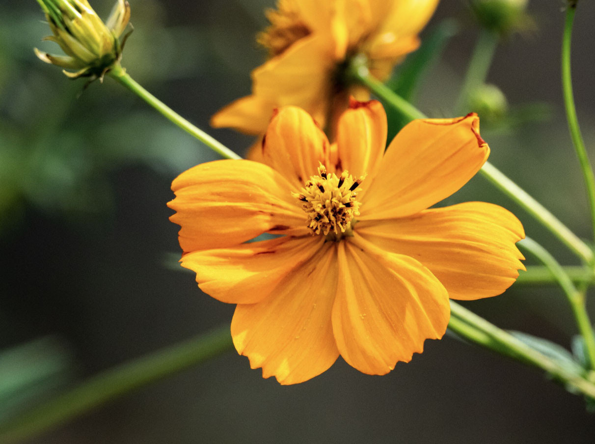 Ba khung giờ sinh 'giàu muộn': Càng qua tuổi 40 càng nhiều tiền - Ảnh 3.