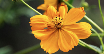 Ba khung giờ sinh 'giàu muộn': Qua tuổi 40 càng nhiều tiền