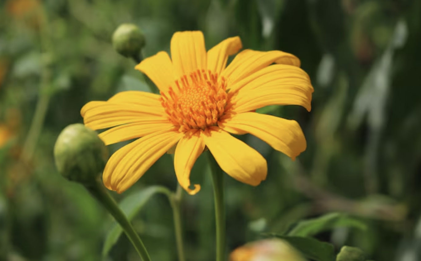 Ba khung giờ sinh 'giàu muộn': Càng qua tuổi 40 càng nhiều tiền - Ảnh 1.