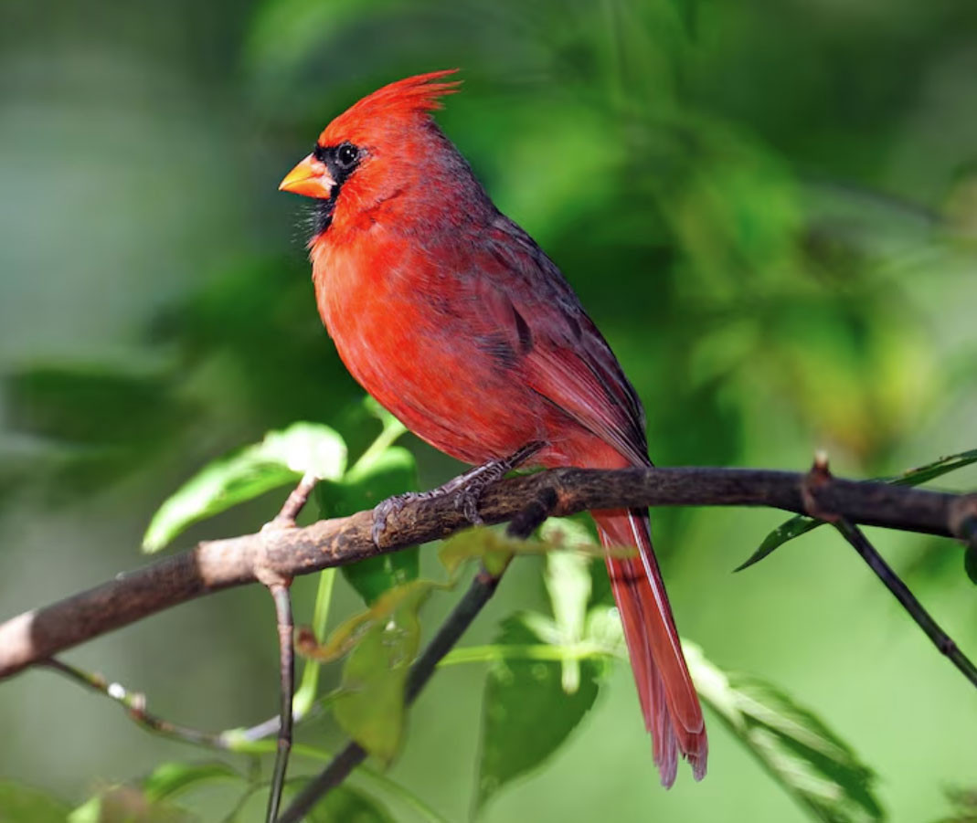 Giờ sinh Âm lịch của người 'không thể nghèo': Kiếm tiền giỏi, tiêu tiền càng khôn - Ảnh 2.