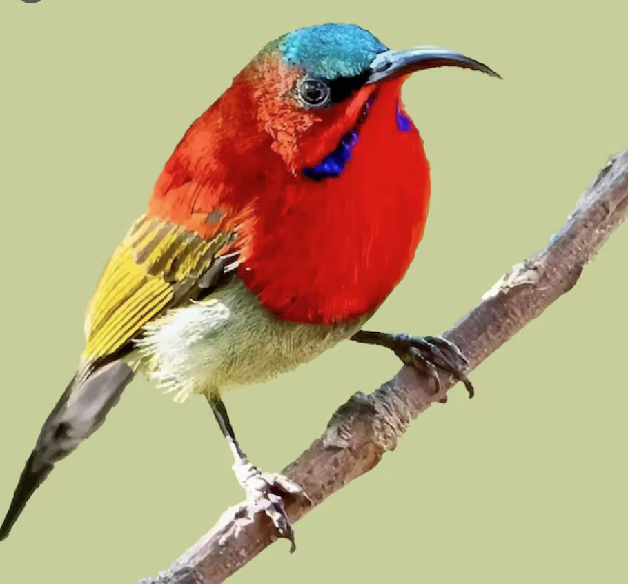 Giờ sinh Âm lịch của người 'không thể nghèo': Kiếm tiền giỏi, tiêu tiền càng khôn - Ảnh 1.