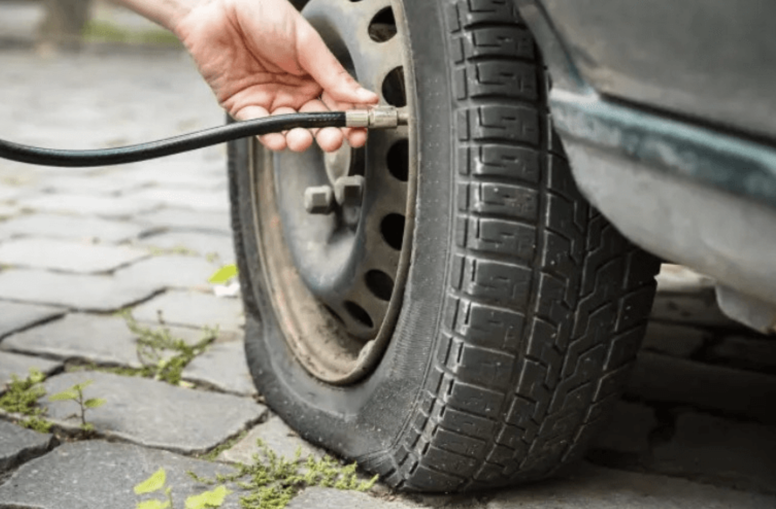 Ảnh màn hình 2026 03 22 lúc 14.19.06.png