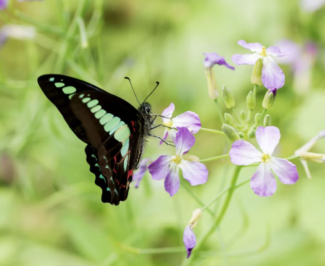 Ngày sinh Âm lịch định sẵn số vượng phát: Sinh đúng ngày này, nghèo mấy cũng có lúc đổi đời - Ảnh 1.