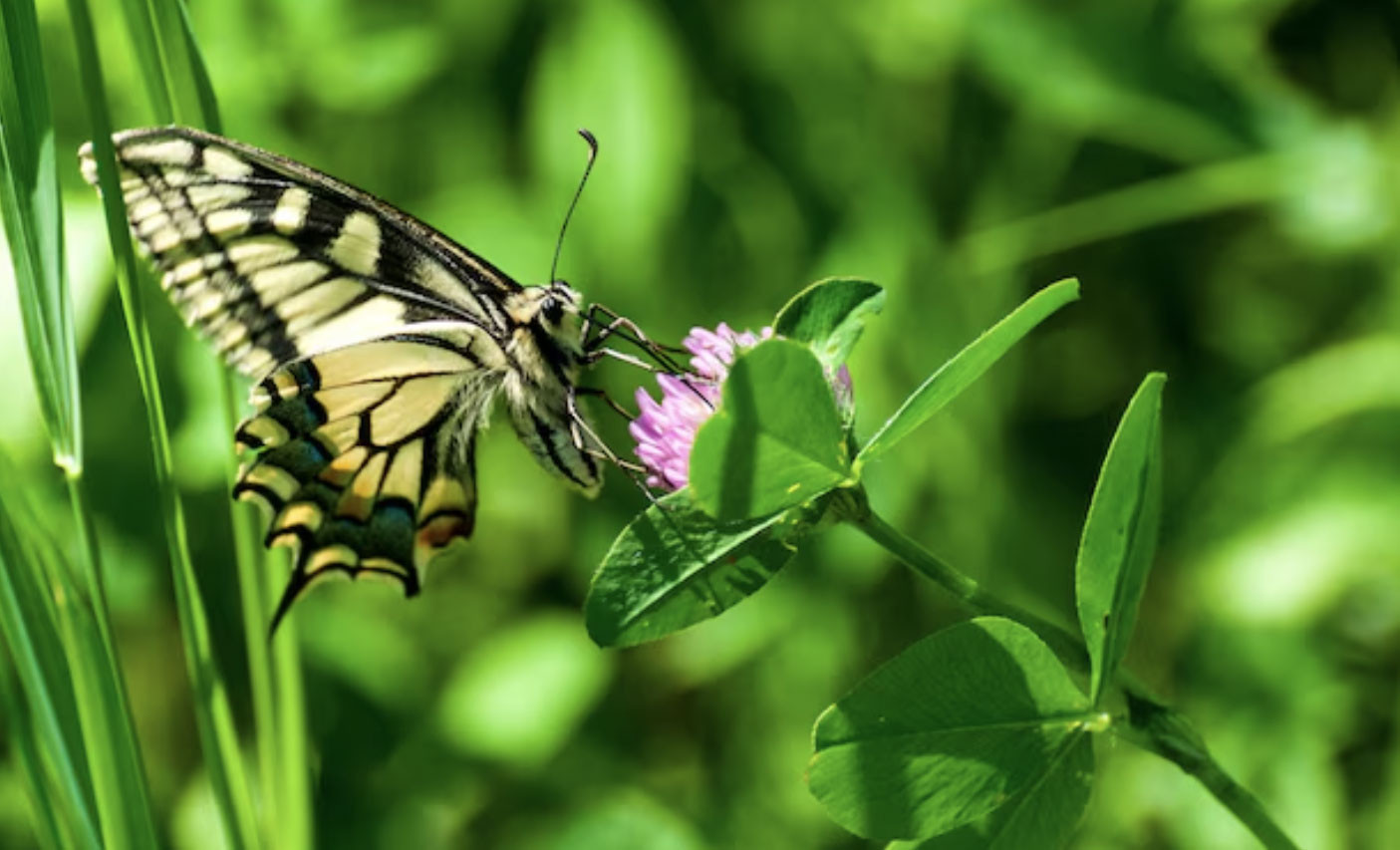 Ngày sinh Âm lịch định sẵn số vượng phát: Sinh đúng ngày này, nghèo mấy cũng có lúc đổi đời - Ảnh 4.
