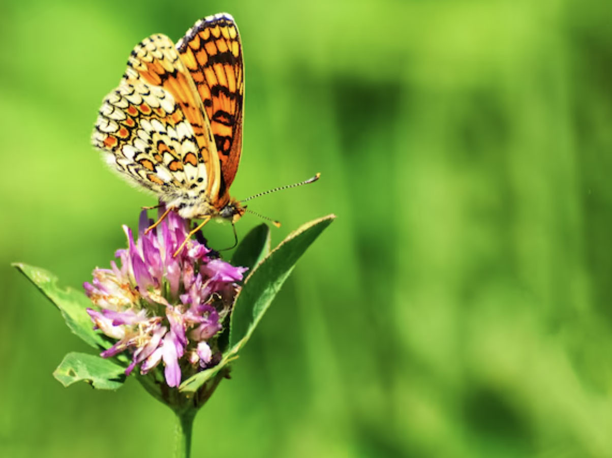 Ngày sinh Âm lịch định sẵn số vượng phát: Sinh đúng ngày này, nghèo mấy cũng có lúc đổi đời - Ảnh 3.