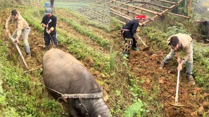 Dân mạng bảo anh Tây