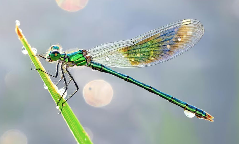 3 khung giờ sinh Âm lịch mang theo phúc khí: Trẻ lớn lên bình an, cuộc đời suôn sẻ hơn người - Ảnh 2.