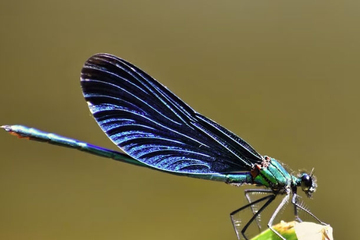 3 khung giờ sinh Âm lịch mang theo phúc khí: Trẻ lớn lên bình an, cuộc đời suôn sẻ hơn người