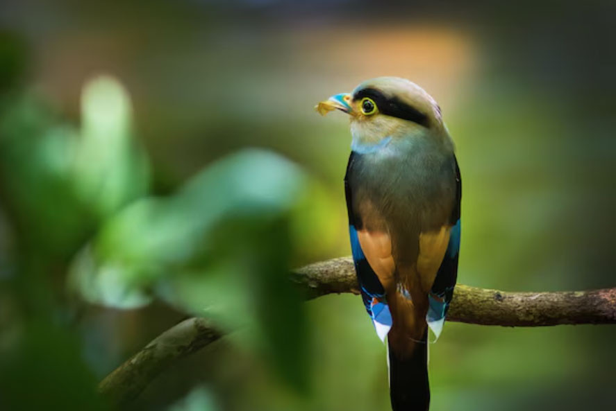 Ngày sinh Âm lịch của người người nói ít làm nhiều, tài lộc đến muộn nhưng vững vàng - Ảnh 2.