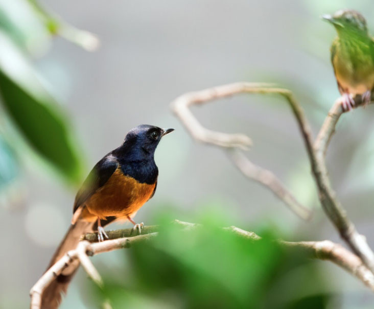Ngày sinh Âm lịch của người người nói ít làm nhiều, tài lộc đến muộn nhưng vững vàng - Ảnh 1.