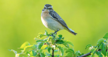 Ngày sinh Âm lịch của người người nói ít làm nhiều, tài lộc đến muộn nhưng vững vàng