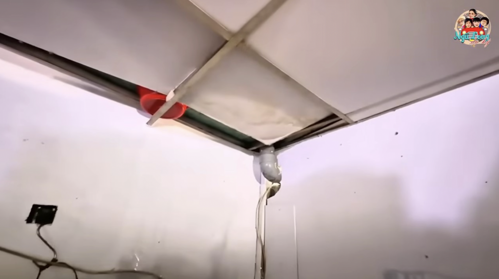 Nghệ sĩ cải lương Phụng Nghi chật vật sống tại TP . HCM , tuổi U80 nhặt ve chai - Ảnh 6.