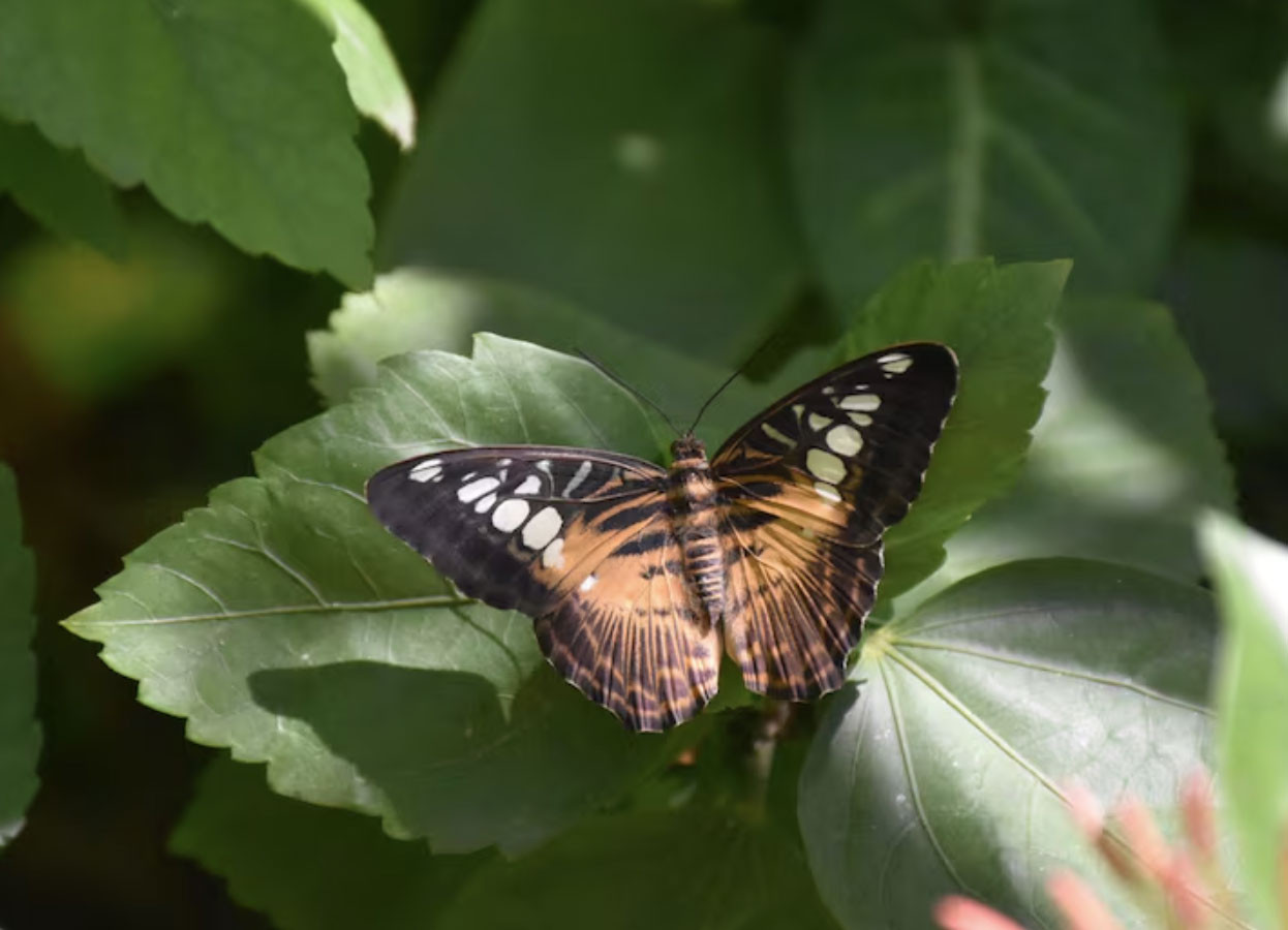 Khung giờ sinh quyết định hậu vận? Đây là những thời điểm mang nhiều điềm lành - Ảnh 3.