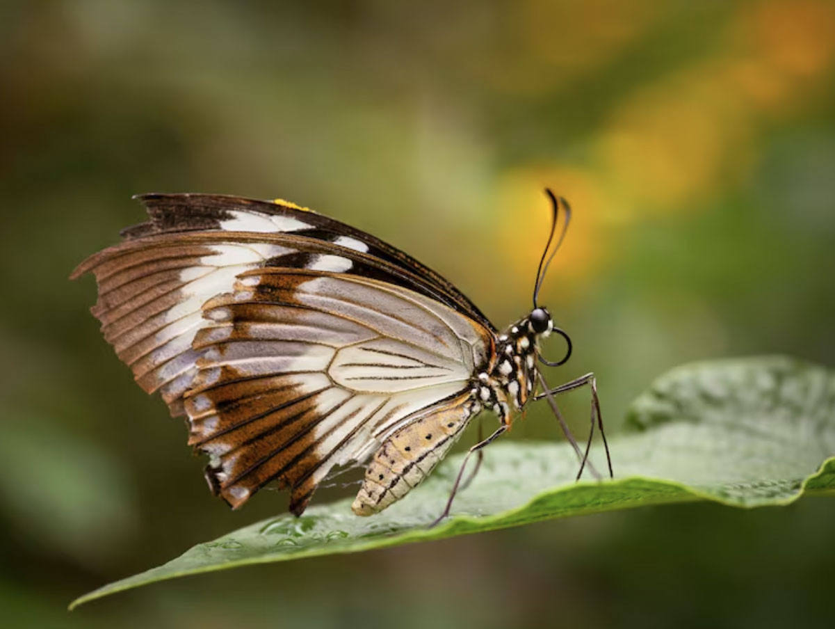 Khung giờ sinh quyết định hậu vận? Đây là những thời điểm mang nhiều điềm lành - Ảnh 5.