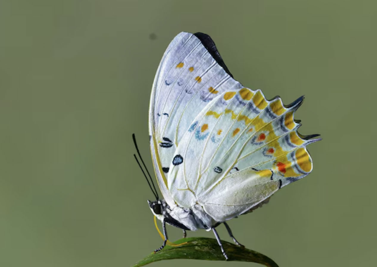 Khung giờ sinh quyết định hậu vận? Đây là những thời điểm mang nhiều điềm lành - Ảnh 1.