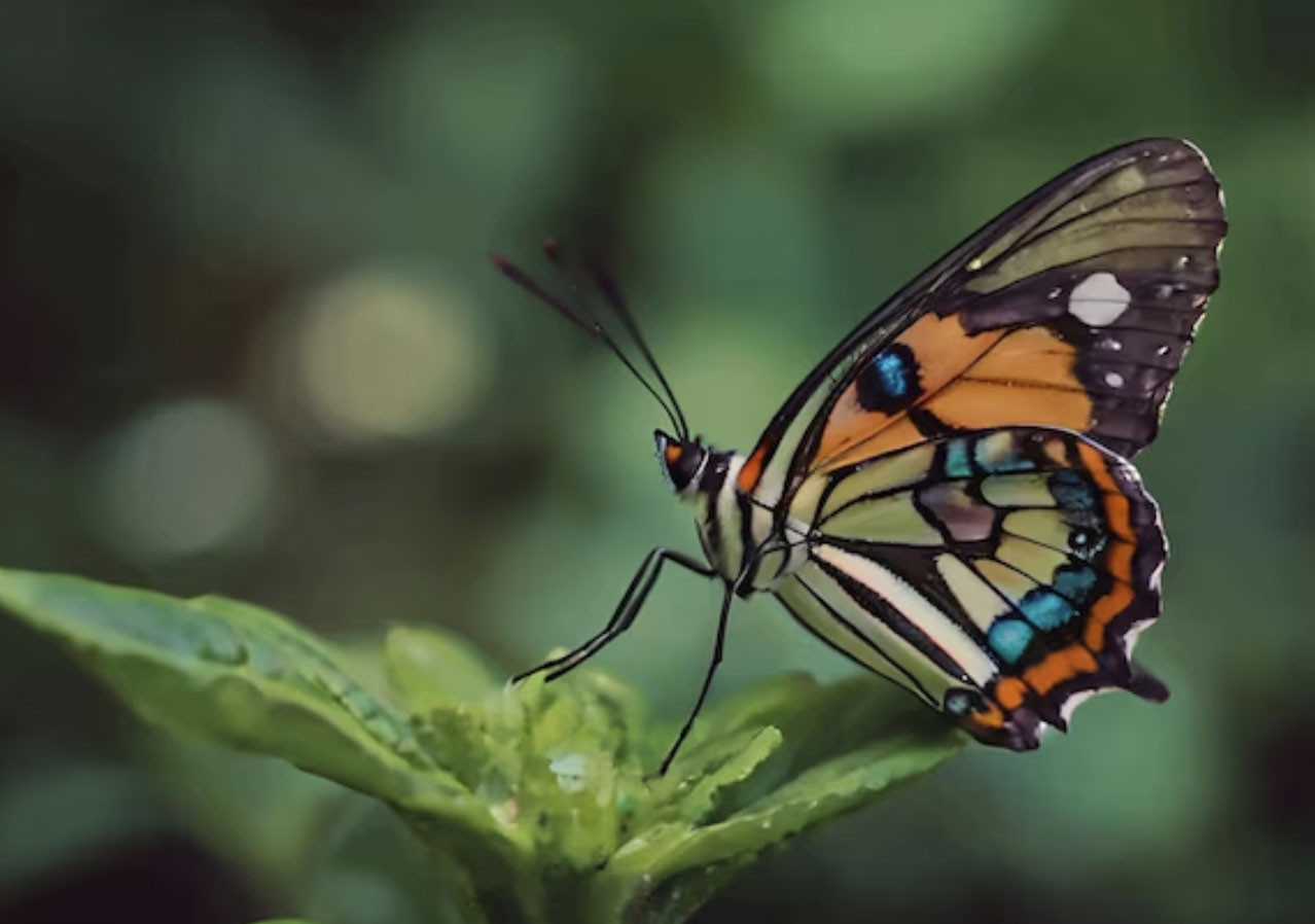 Khung giờ sinh quyết định hậu vận? Đây là những thời điểm mang nhiều điềm lành - Ảnh 4.