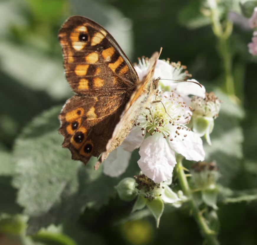 Khung giờ sinh quyết định hậu vận? Đây là những thời điểm mang nhiều điềm lành - Ảnh 2.