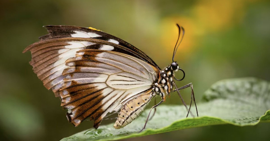 Khung giờ sinh quyết định hậu vận? Đây là những thời điểm mang nhiều điềm lành