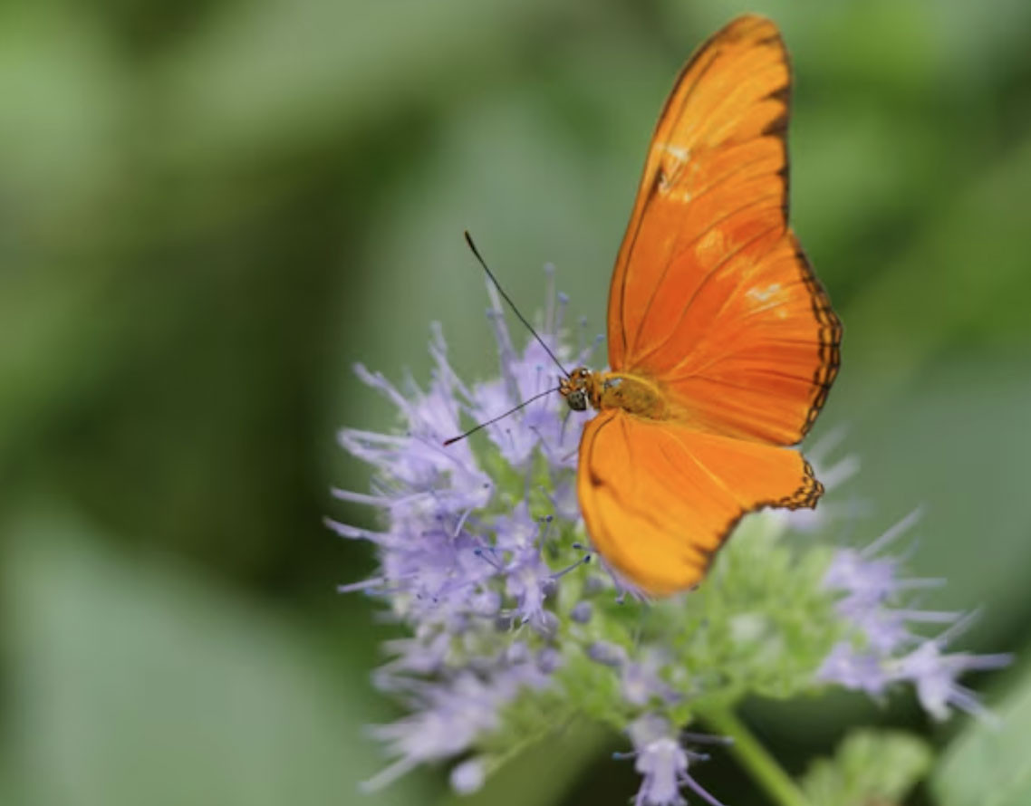 Người sinh vào khung giờ Tứ mã: Kiếm tiền giỏi bậc nhất nhưng khó giữ của - Ảnh 4.