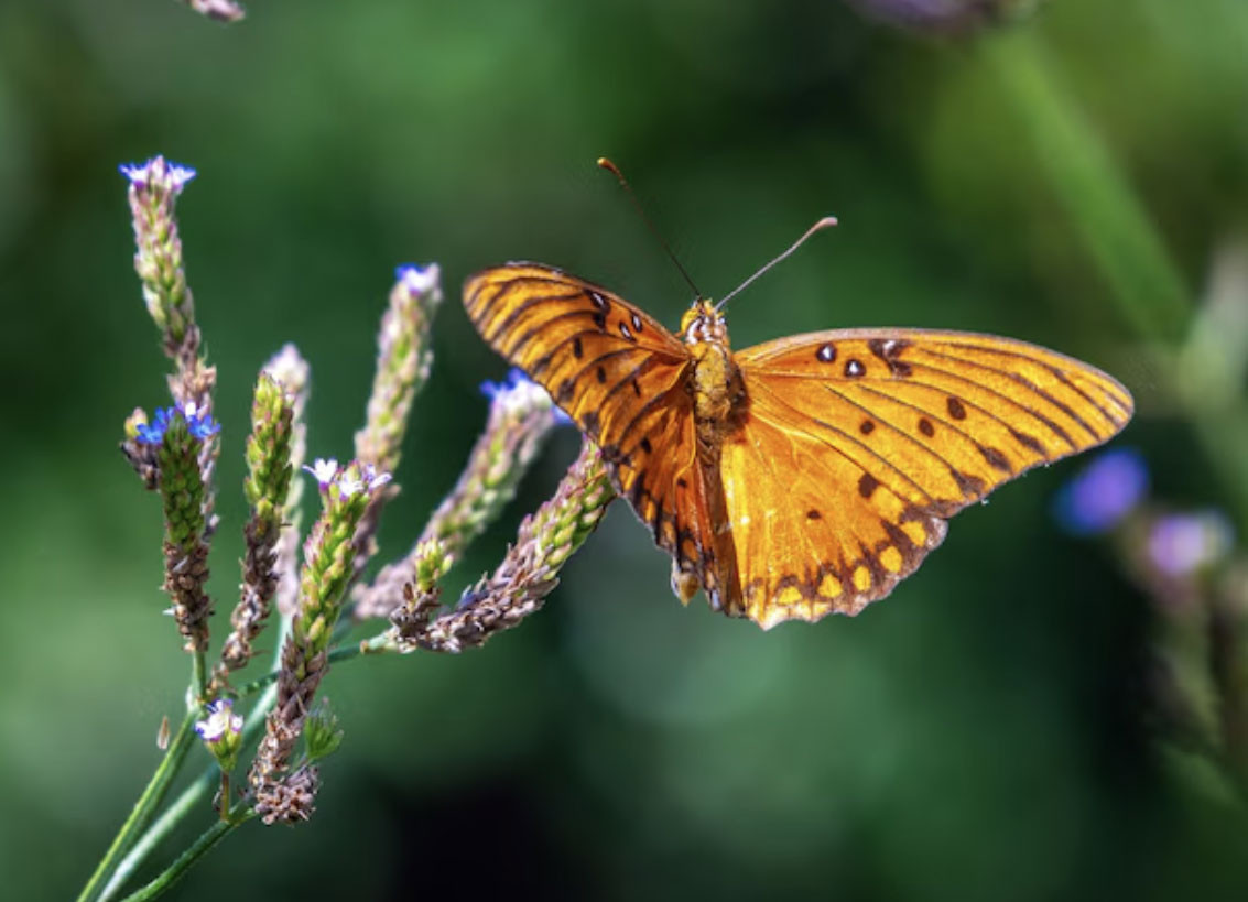 Người sinh vào khung giờ Tứ mã: Kiếm tiền giỏi bậc nhất nhưng khó giữ của - Ảnh 3.