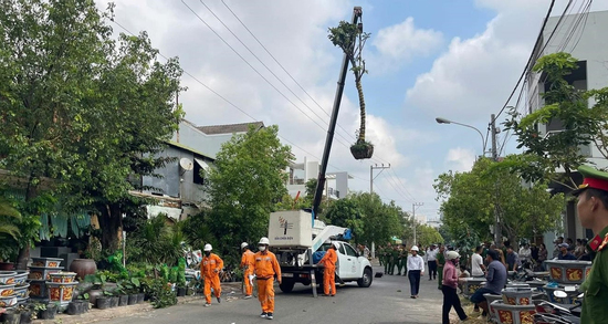 Xe tải cẩu vướng dây điện ở Lâm Đồng, tài xế bị điện giật tử vong