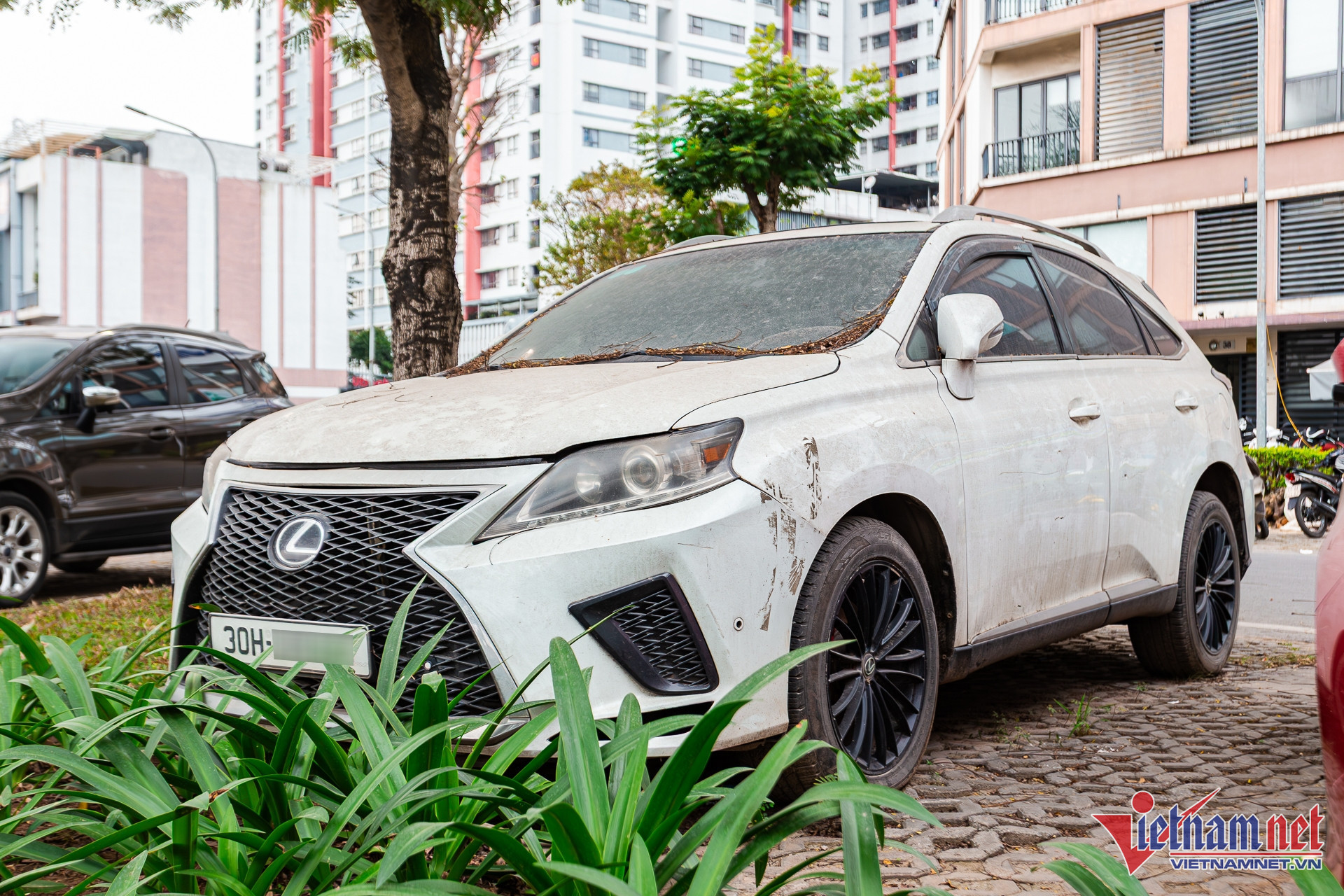 W-lexus rx 14.JPG.jpg