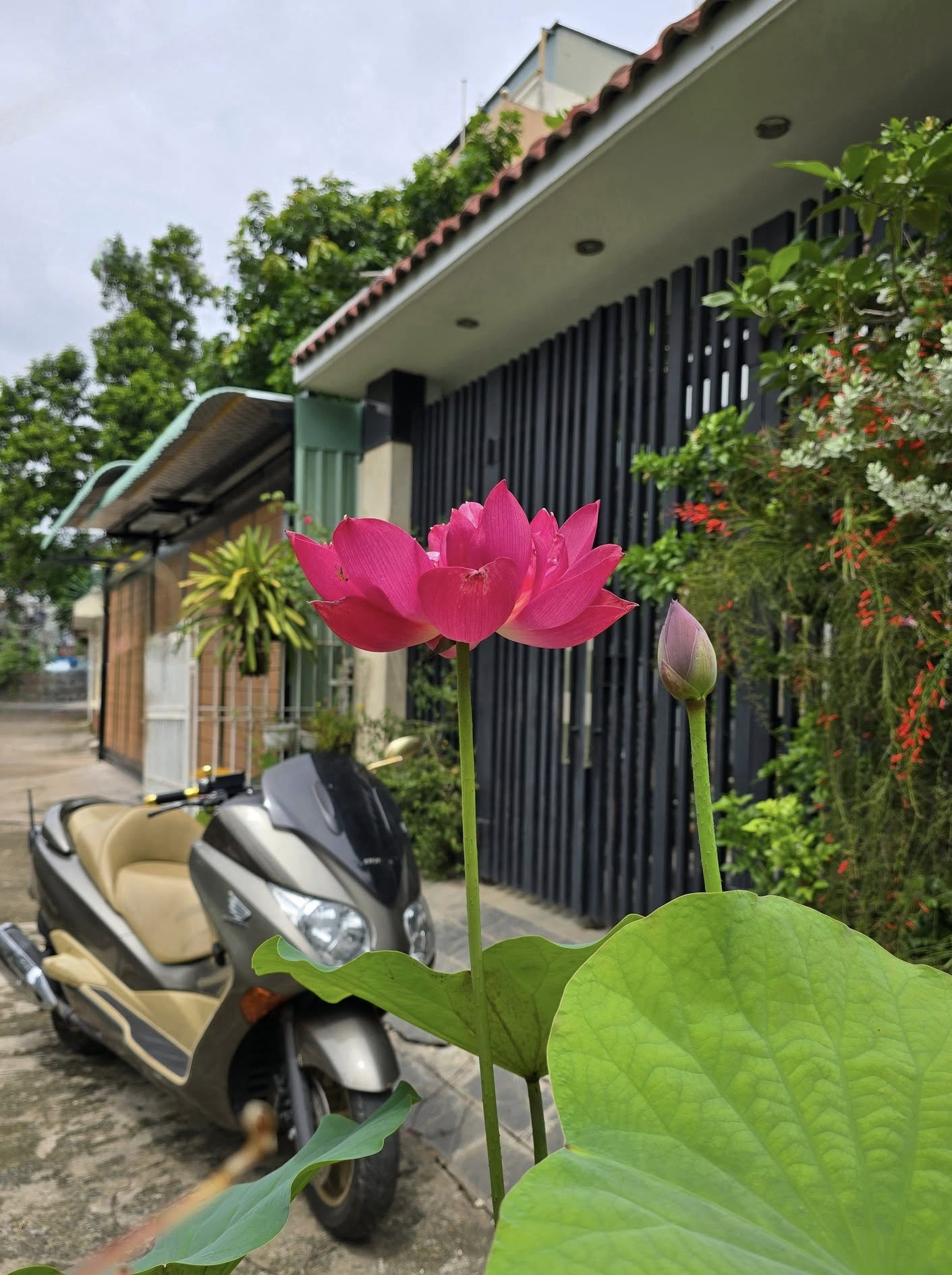 Cuộc sống an yên, viên mãn của