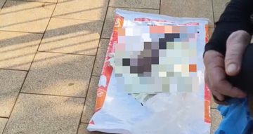 Phát hiện thi thể bé trai sơ sinh bên mương nước ở TPHCM