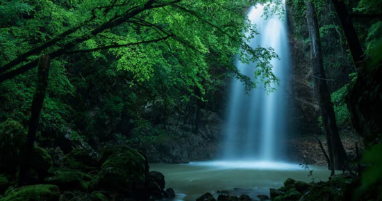 Sinh đúng giờ 'hoàng kim', 3 con giáp này hưởng trọn phú quý, dễ thành đại gia