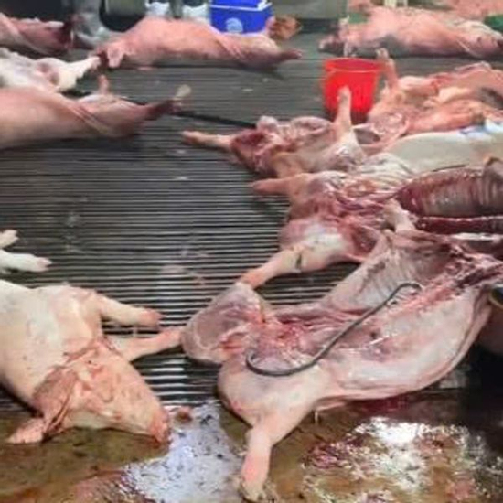 Vụ 'tuồn' thịt lợn bệnh vào hàng trăm trường học ở Hà Nội: Bắt một loạt cán bộ, gồm những ai?