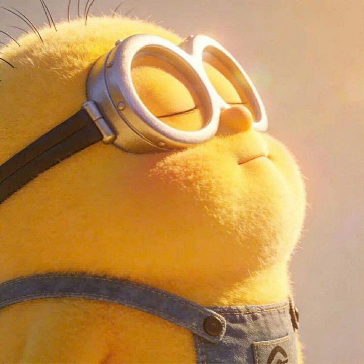 Hình ảnh chú Minion hạnh phúc đang nổi tiếng khắp mạng xã hội.