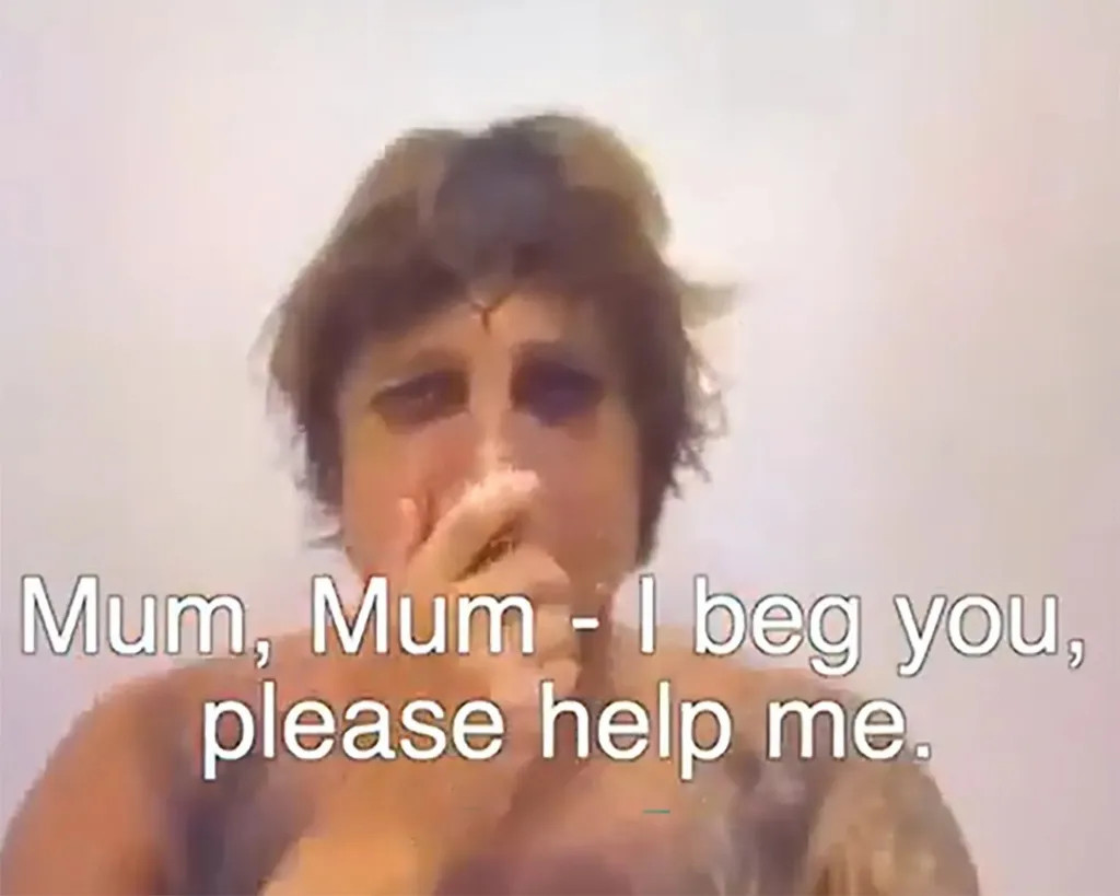 8d23ec2b 96b0 4b8f 8726 f2af1924e1ad