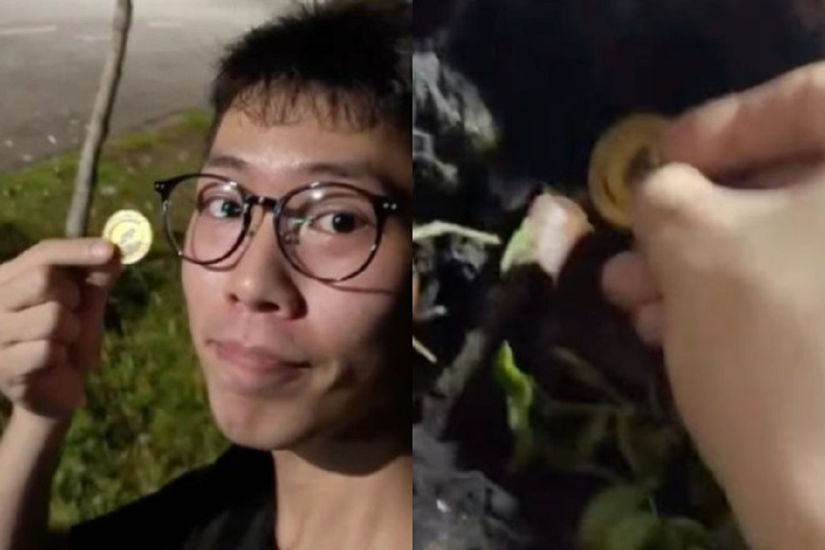 Nhặt được vàng dưới gốc cây, chàng trai sốc khi đổi ngay 5 tỷ- Ảnh 1.