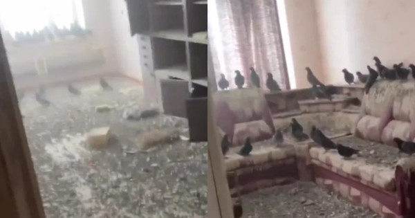 quen dong cua so 3 nam di lam xa nguoi dan ong nga ngua khi thay chu nhan moi cua can ho 2 10344643.jpg