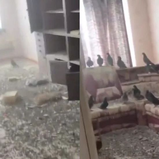 Quên đóng cửa sổ 3 năm đi làm xa, người đàn ông 'ngã ngửa' khi thấy chủ nhân mới của căn hộ