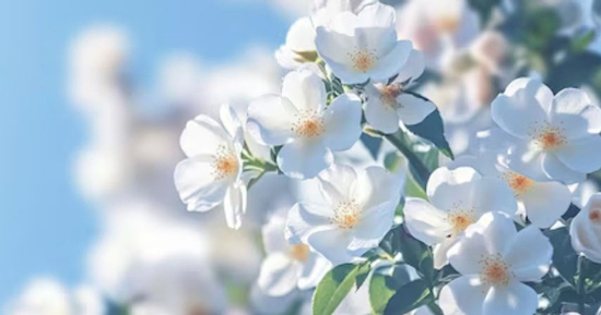 Số cuối ngày sinh Âm lịch hé lộ tiềm năng của một đứa trẻ: 4 con số dễ làm nên nghiệp lớn