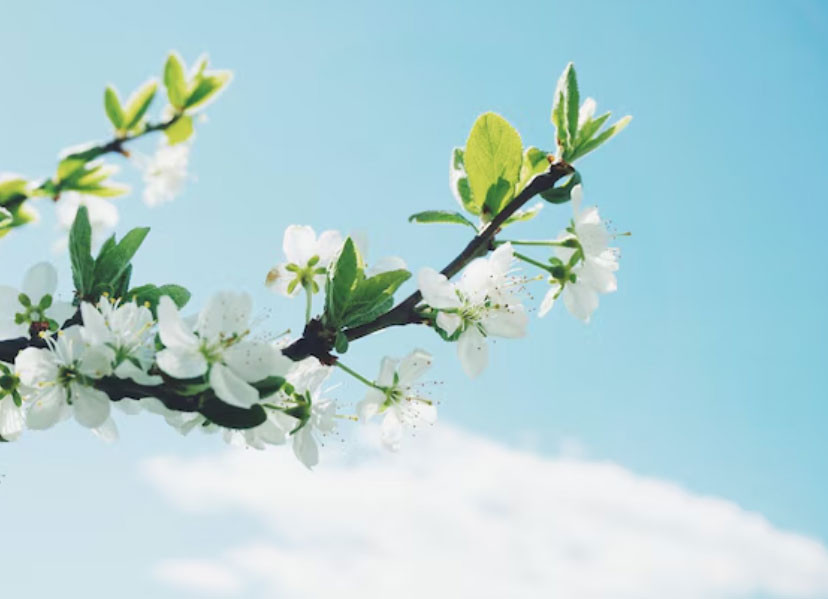 Số cuối ngày sinh Âm lịch hé lộ tiềm năng của một đứa trẻ: 4 con số dễ làm nên nghiệp lớn - Ảnh 3.