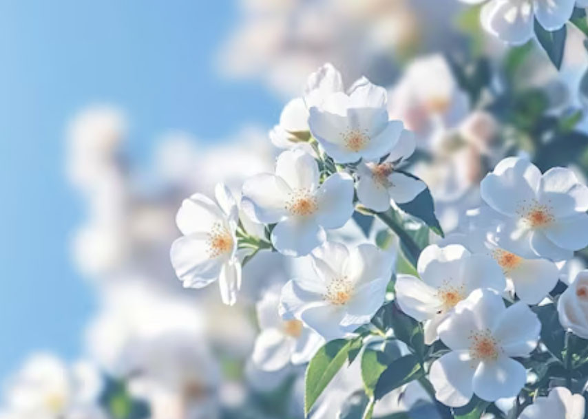 Số cuối ngày sinh Âm lịch hé lộ tiềm năng của một đứa trẻ: 4 con số dễ làm nên nghiệp lớn - Ảnh 1.