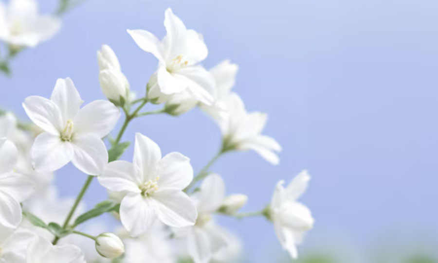 Số cuối ngày sinh Âm lịch hé lộ tiềm năng của một đứa trẻ: 4 con số dễ làm nên nghiệp lớn - Ảnh 4.