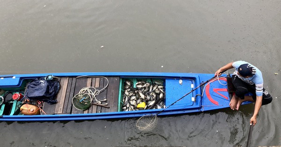 Bắt cá bằng kích điện, thanh niên ở TPHCM bị xử lý