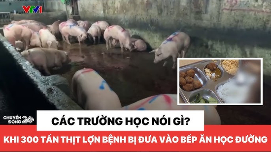 Nguy cơ kép từ 300 tấn thịt lợn bệnh - trẻ em chịu ảnh hưởng nặng nề nhất!